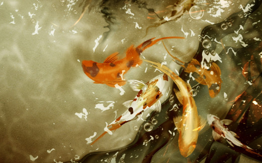 483949 (a): :2560x1600